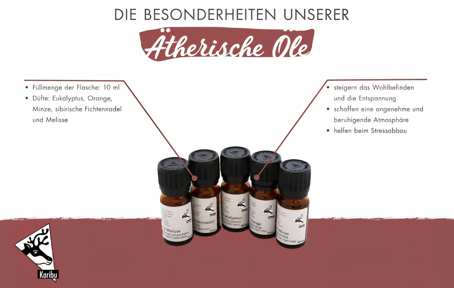 Loft Sauna & Spa Zusätze