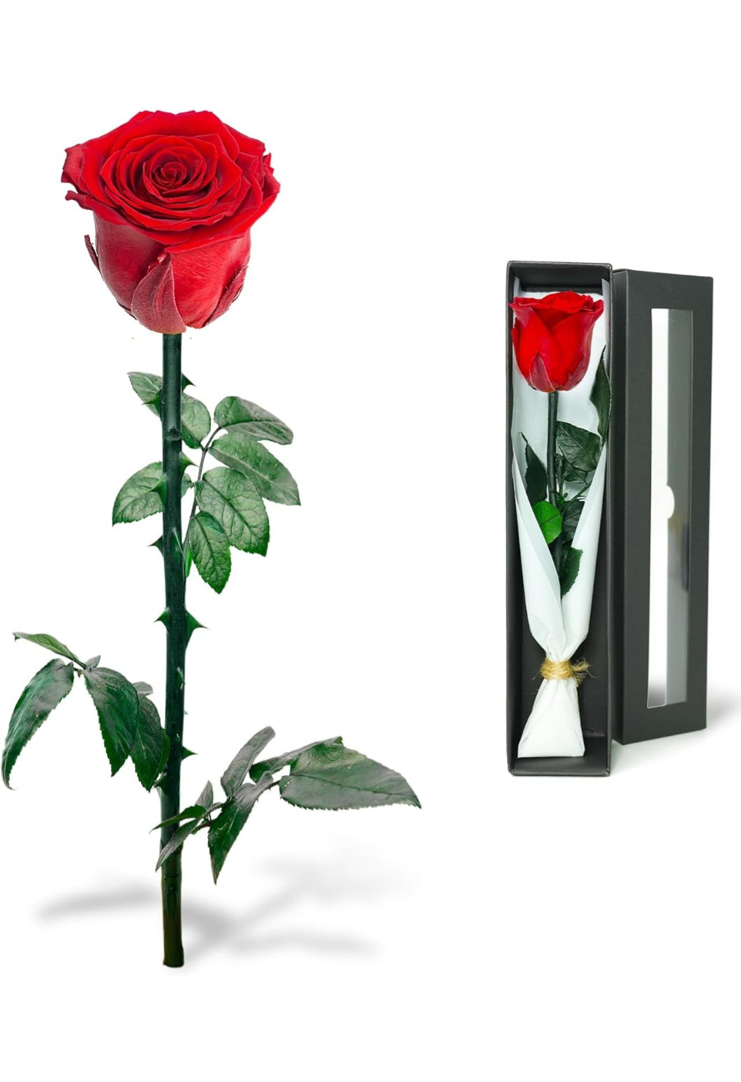 Infinity Rose / Konservierte Rose in Rosenbox, Haltbare Blume mit Ewigkeitsgarantie