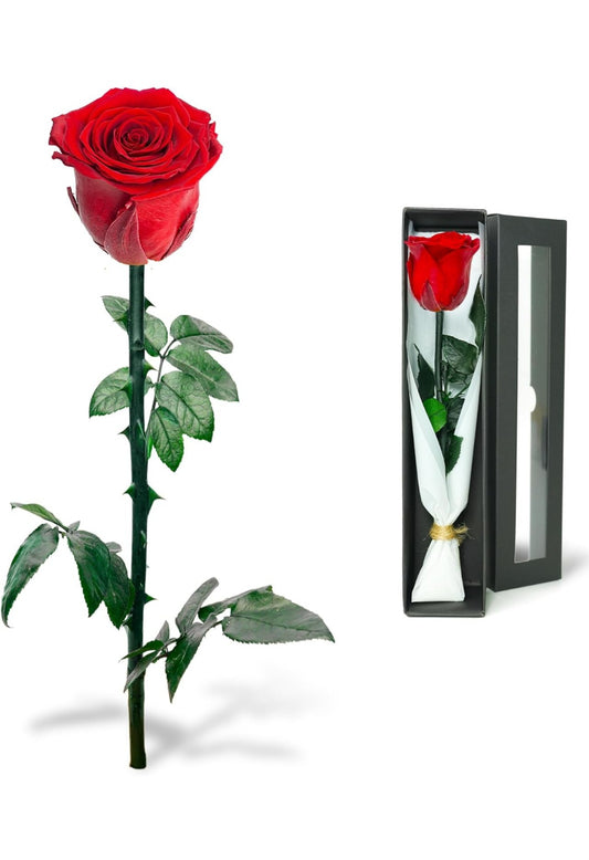 Infinity Rose / Konservierte Rose in Rosenbox, Haltbare Blume mit Ewigkeitsgarantie